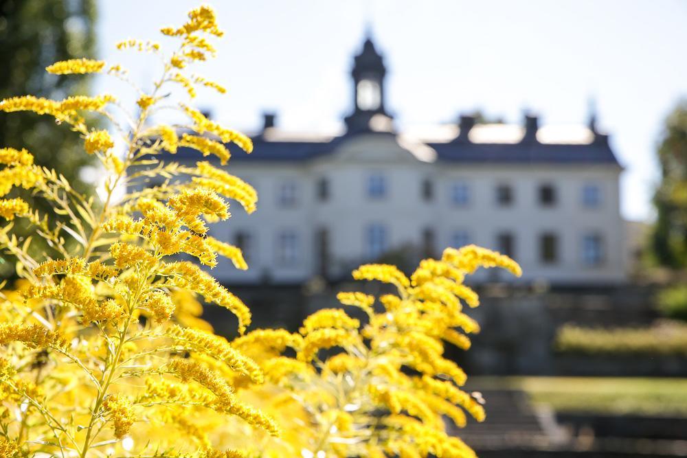Bed and Breakfast Kaggeholms Slott Ekero Екстер'єр фото